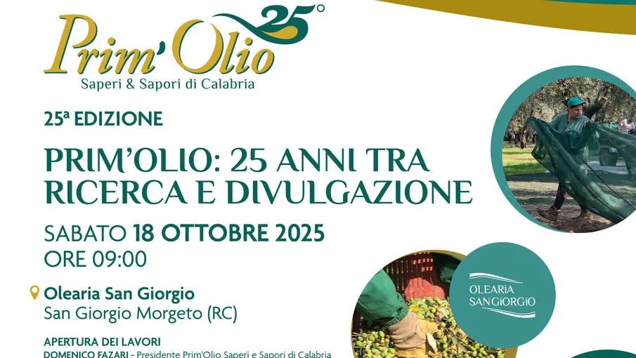 San Giorgio Morgeto, venticinque anni di Prim’Olio: la Calabria che cresce con l’extravergine
