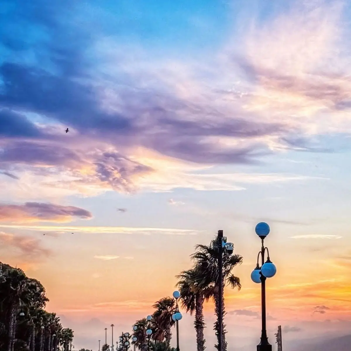 FOTO DEL GIORNO | *…e poi ti ho scritto una poesia*