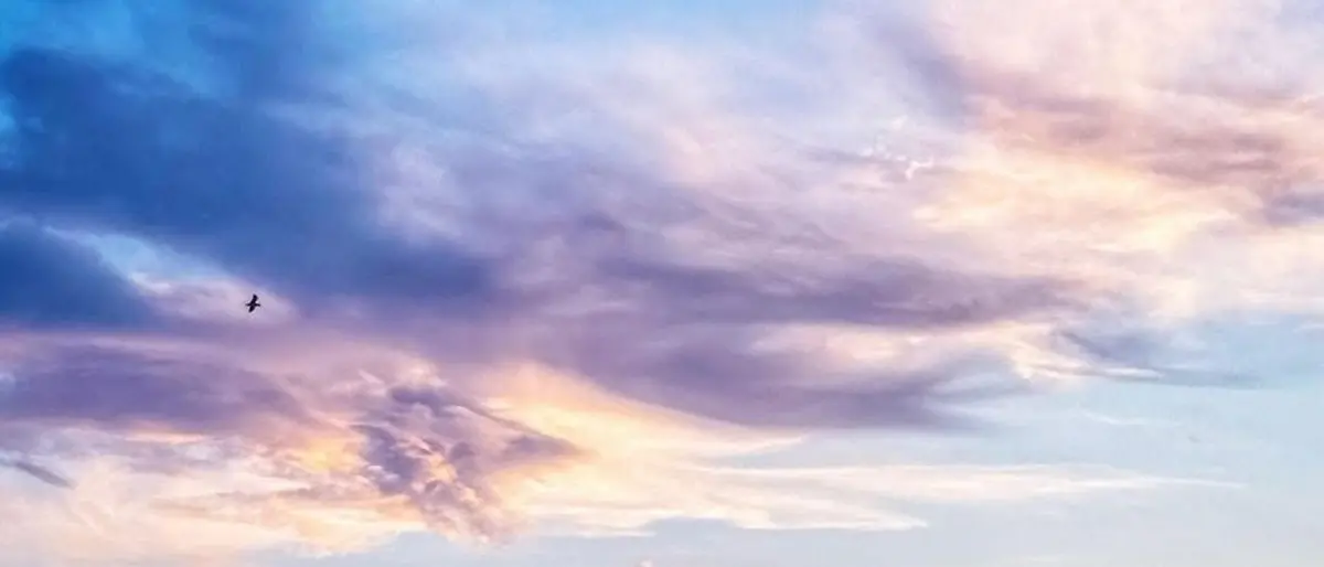 FOTO DEL GIORNO | *…e poi ti ho scritto una poesia*