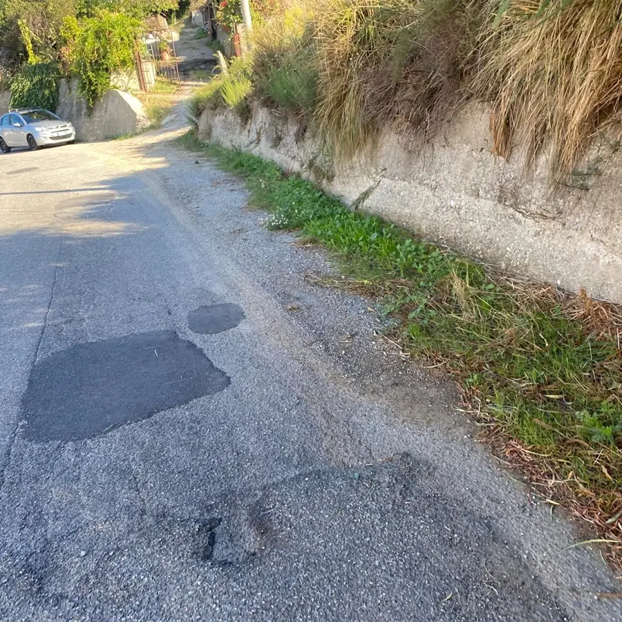 Reggio, l'Oipa richiama l’attenzione sulla manutenzione delle strade di Gallina, Armo e Puzzi
