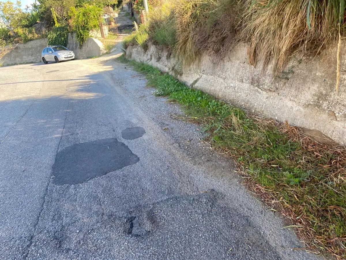 Reggio, l'Oipa richiama l’attenzione sulla manutenzione delle strade di Gallina, Armo e Puzzi