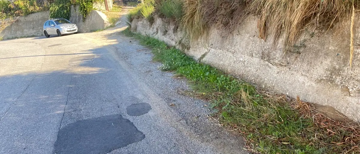 Reggio, l'Oipa richiama l’attenzione sulla manutenzione delle strade di Gallina, Armo e Puzzi
