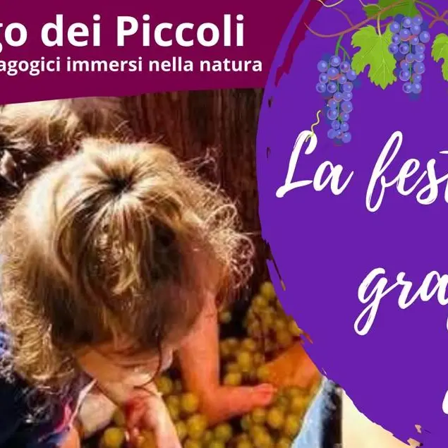 Reggio, a Borgo Nocille ripartiti i laboratori educativi per bambini e il coworking immerso nel verde