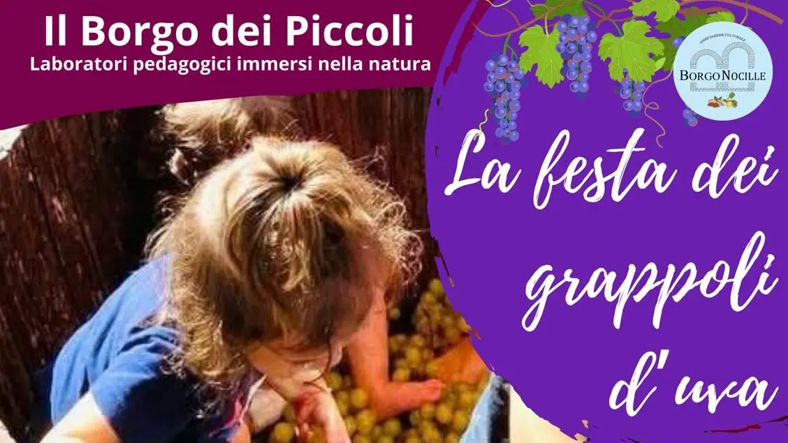 Reggio, a Borgo Nocille ripartiti i laboratori educativi per bambini e il coworking immerso nel verde