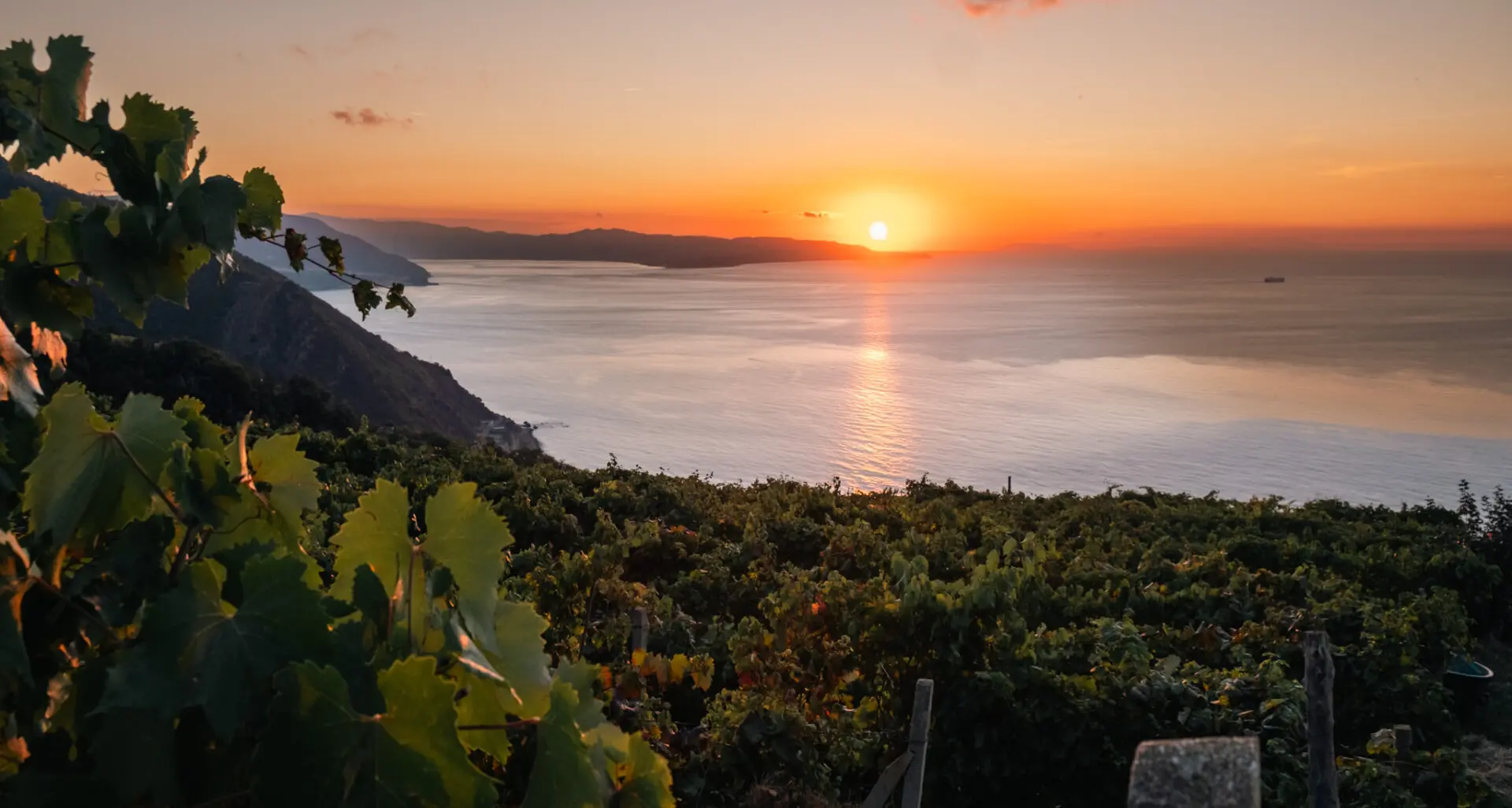 Al via Calabria Wine Expo 2025, la prima fiera dedicata alle eccellenze del vino Calabrese