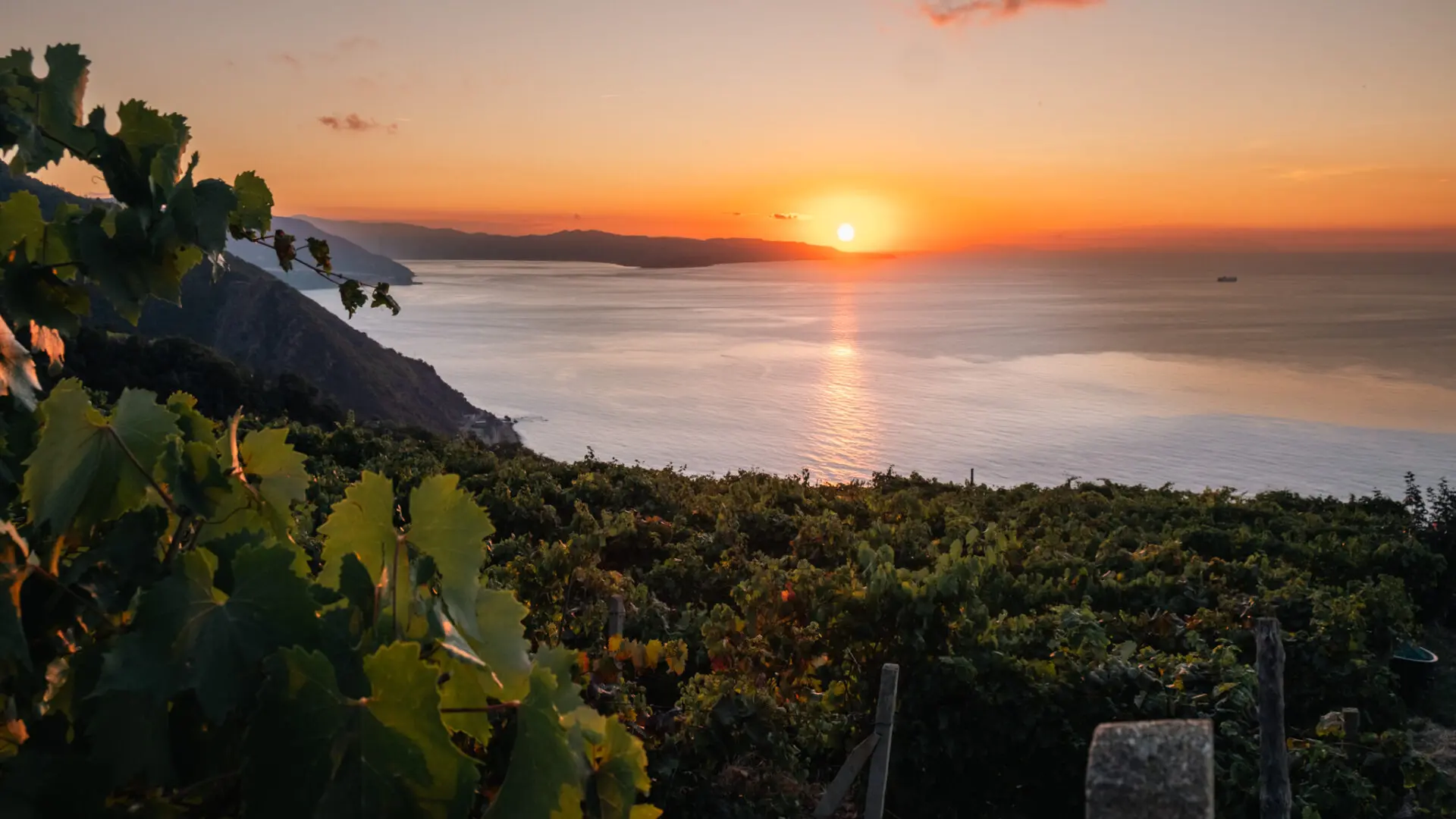 Al via Calabria Wine Expo 2025, la prima fiera dedicata alle eccellenze del vino Calabrese