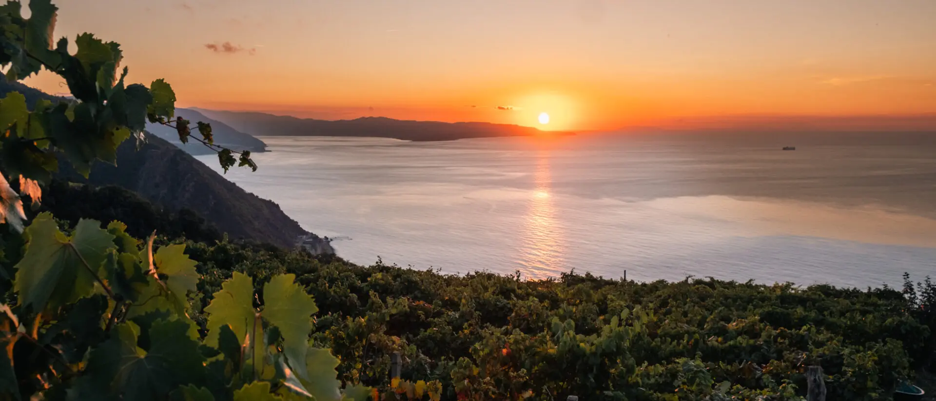 Al via Calabria Wine Expo 2025, la prima fiera dedicata alle eccellenze del vino Calabrese
