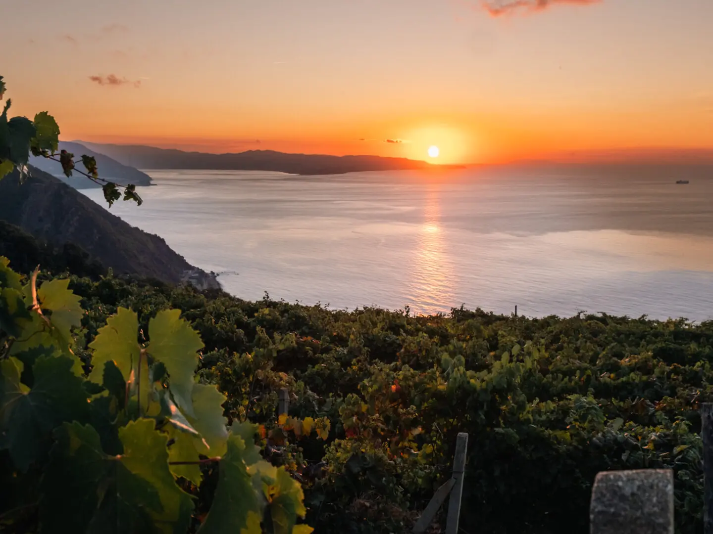 Al via Calabria Wine Expo 2025, la prima fiera dedicata alle eccellenze del vino Calabrese