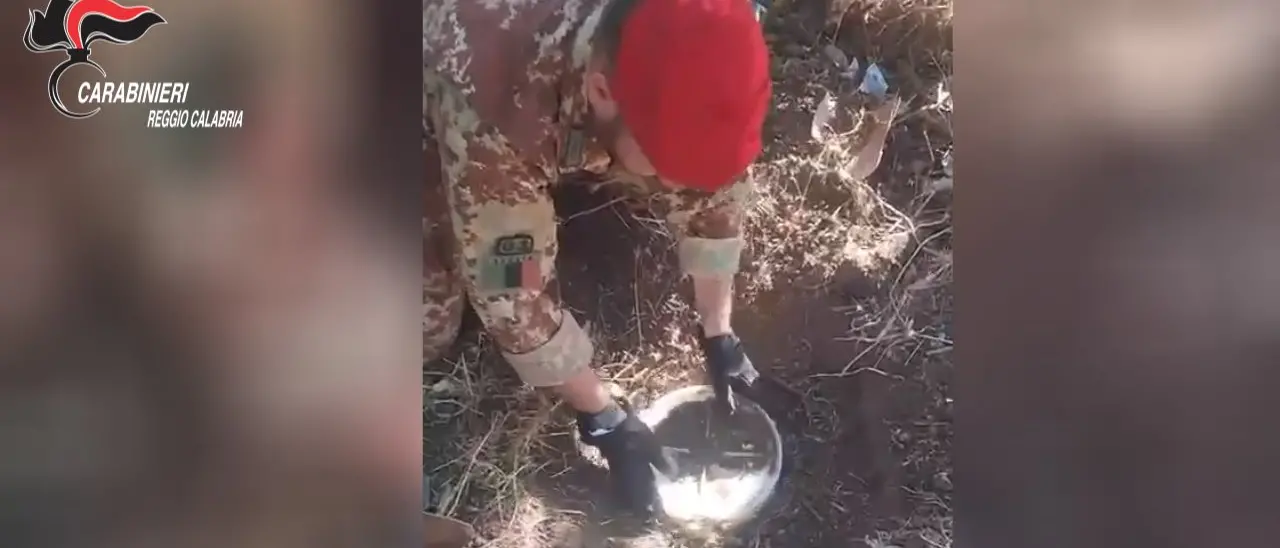 Gioiosa Ionica, scoperto deposito di droga sotterrato nelle campagne: arrestato un 28enne dopo il blitz dei Carabinieri - VIDEO