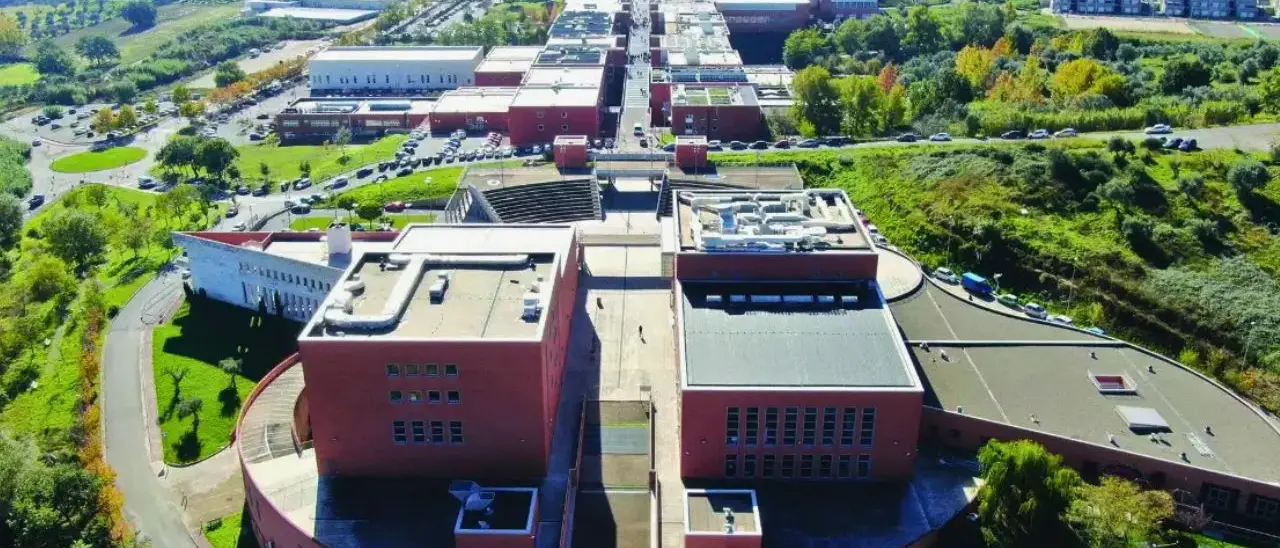 World University Rankings, l’Unical rafforza la propria reputazione nel panorama accademico internazionale\n