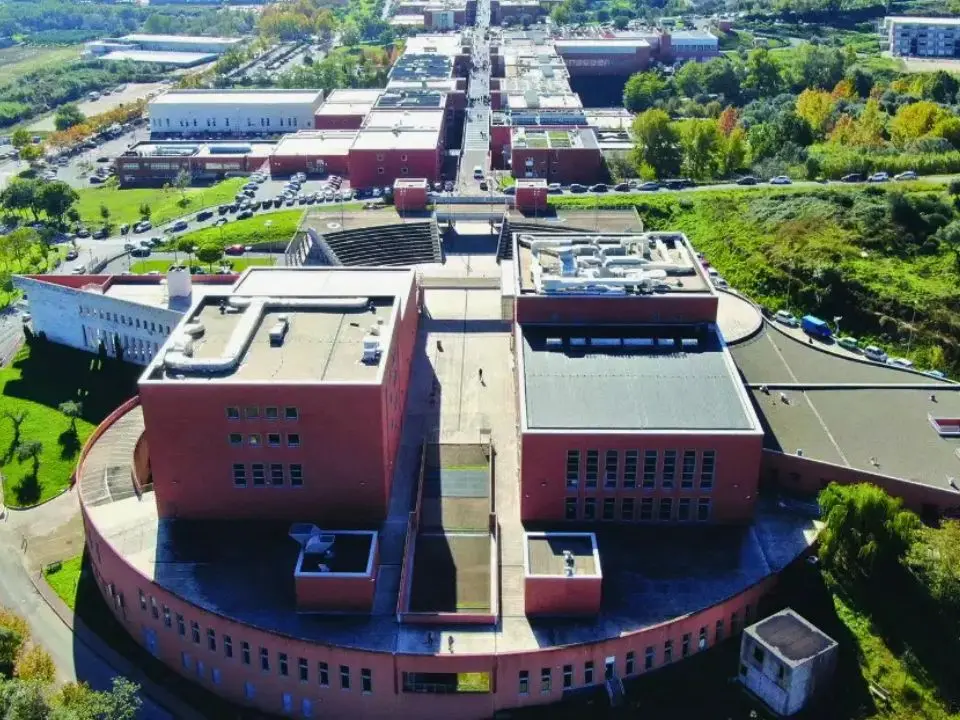 World University Rankings, l’Unical rafforza la propria reputazione nel panorama accademico internazionale
