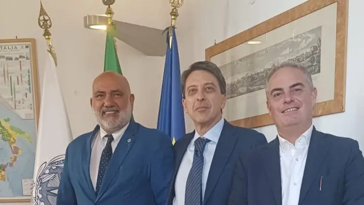 Un calabrese nel nuovo Consiglio nazionale dei Geologi\n