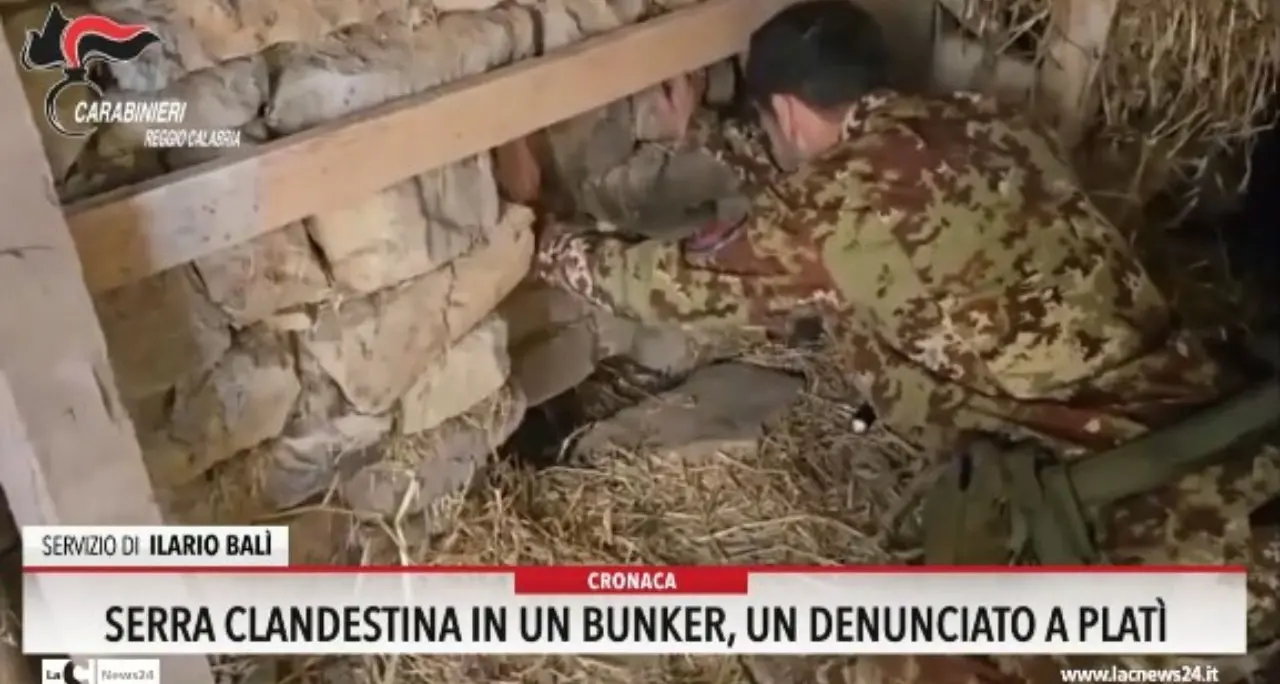 Serra clandestina in un bunker, un denunciato a Plati