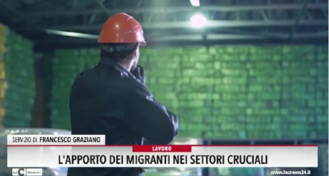 L'apporto dei migranti nei settori cruciali