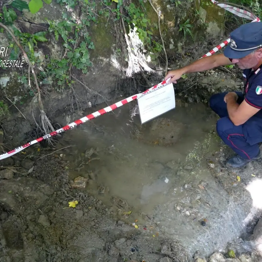Scarico abusivo nel torrente Peschiera a Falconara Albanese, denunciato responsabile tecnico comunale\n