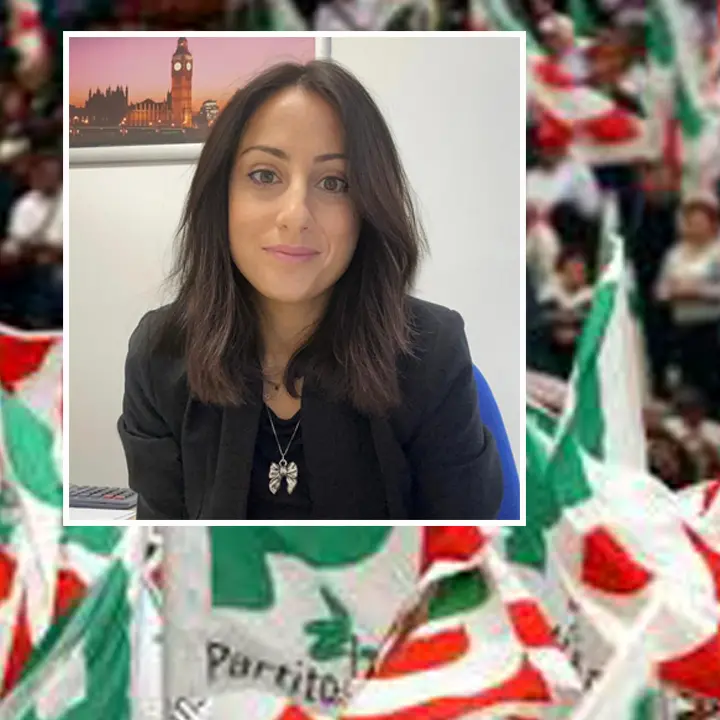 De Santis si dimette dalla direzione del circolo Pd di Spezzano Albanese