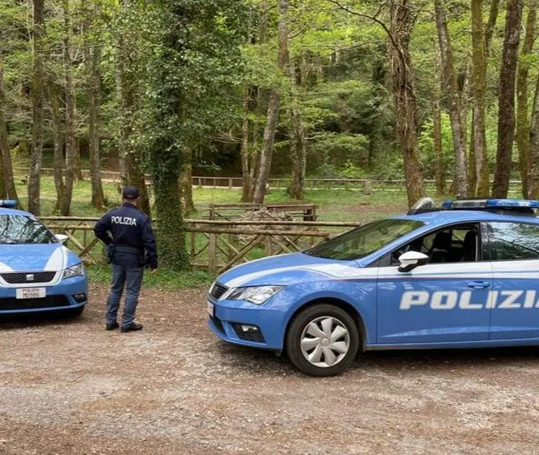 Violano il “Daspo Willy” e vengono sorpresi dalla polizia in un bar: denunciati tre giovani a Serra\n