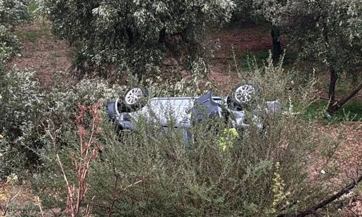 Auto precipita in un burrone a Corigliano: due feriti gravi nel cuore della notte\n