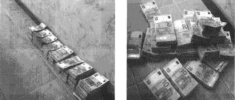 Caccia a “Putin”, “Trump” e “Berlusconi”: i nickname creativi dei narcos della ’ndrangheta nelle chat criptate\n