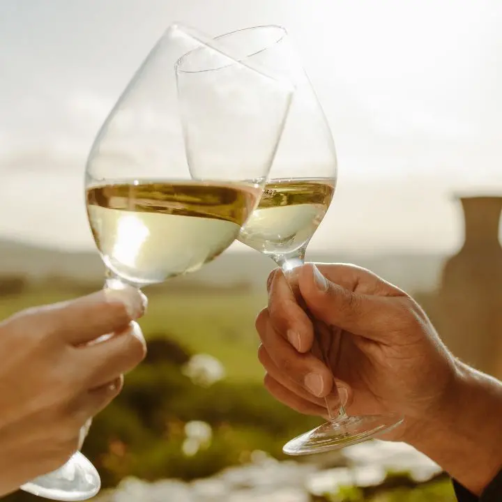 Un vino calabrese tra i migliori d’Italia per qualità/prezzo: è nella guida\u00A0del Gambero Rosso\n