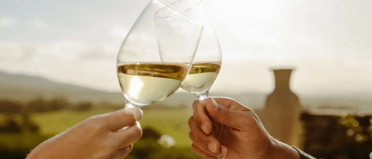 Un vino calabrese tra i migliori d’Italia per qualità/prezzo: è nella guida\u00A0del Gambero Rosso\n