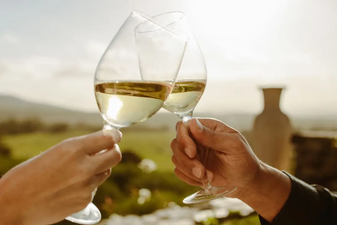 Un vino calabrese tra i migliori d’Italia per qualità/prezzo: è nella guida\u00A0del Gambero Rosso\n