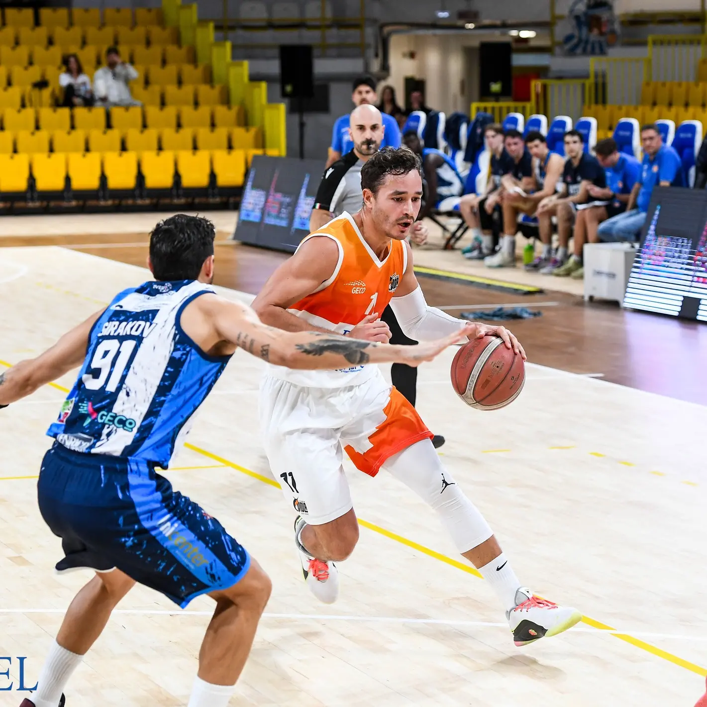 Basket, la Viola prepara la sfida a Reggio Calabria contro Mola al PalaCalafiore\n