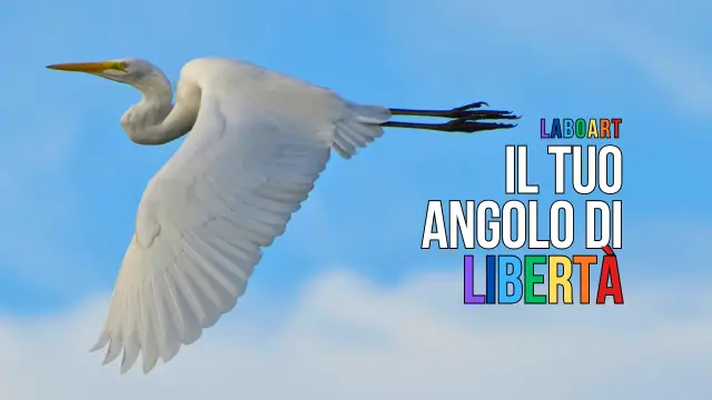 LaboArt riapre i battenti a Santa Domenica di Ricadi e Tropea investendo sulle nuove generazioni\n