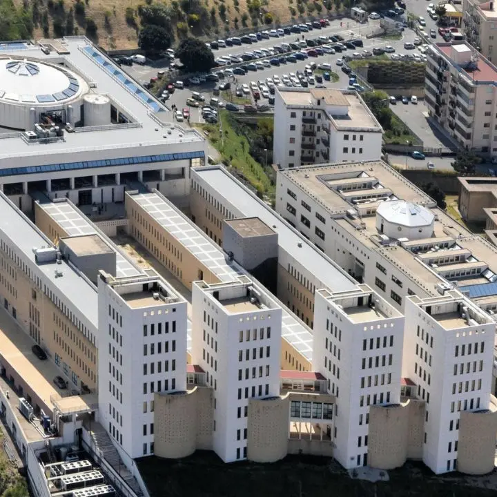 Università Mediterranea, presentato a Dakar il TNE Advanced skill Programme