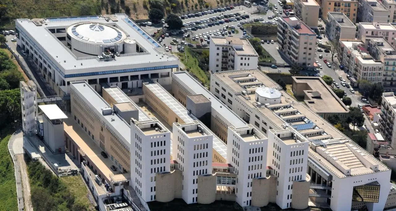 Università Mediterranea, presentato a Dakar il TNE Advanced skill Programme
