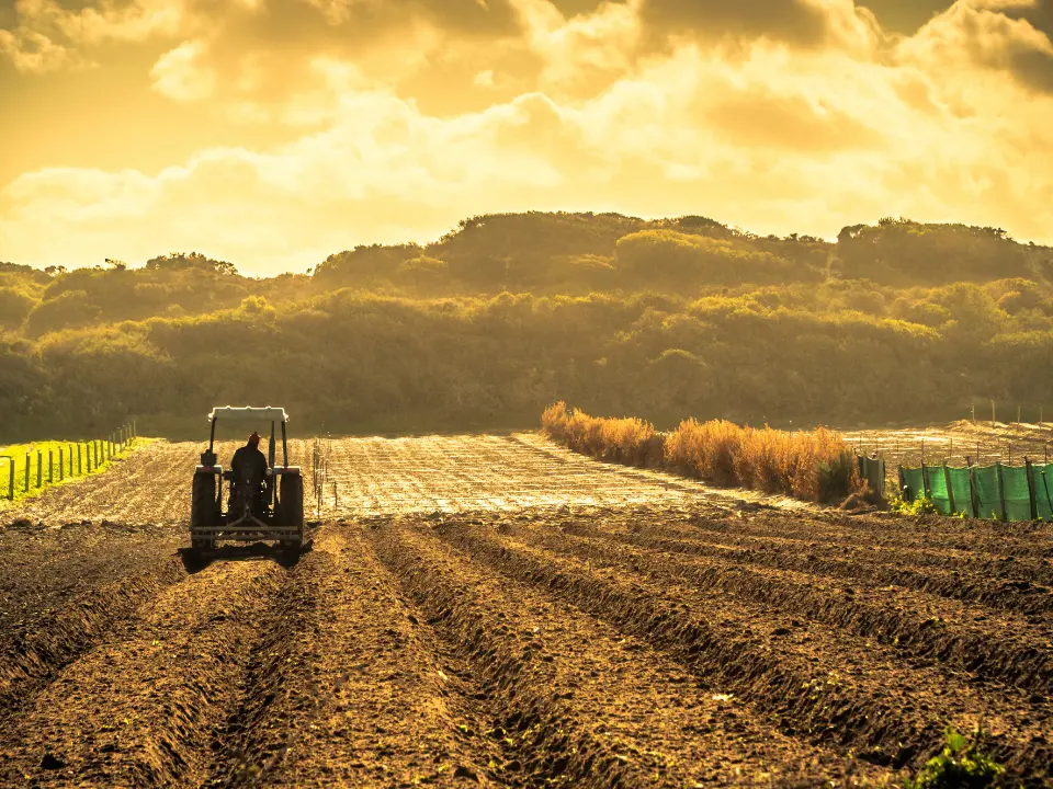 Aree rurali, la Regione finanzia 26 Comuni del Vibonese: l’elenco completo con assegnatari ed esclusi