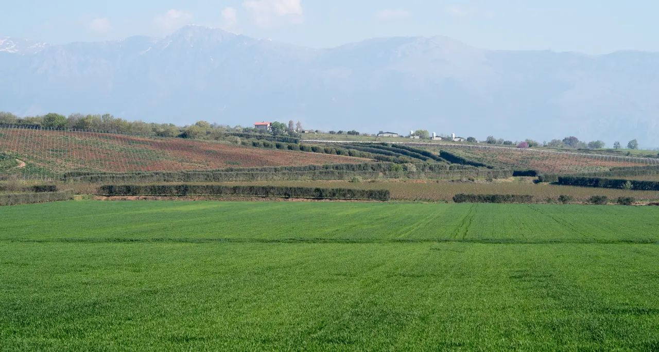 Calabria, oltre 36 milioni per 246 Comuni: pubblicata la graduatoria definitiva del bando su infrastrutture in agricoltura\n