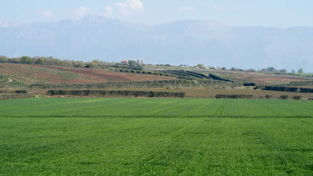 Calabria, oltre 36 milioni per 246 Comuni: pubblicata la graduatoria definitiva del bando su infrastrutture in agricoltura\n