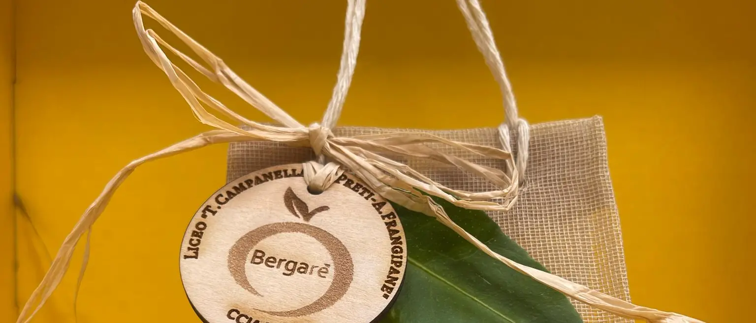 Il Liceo “T. Campanella – M. Preti – A. Frangipane” porta la creatività dei giovani a Bergarè 2025\n