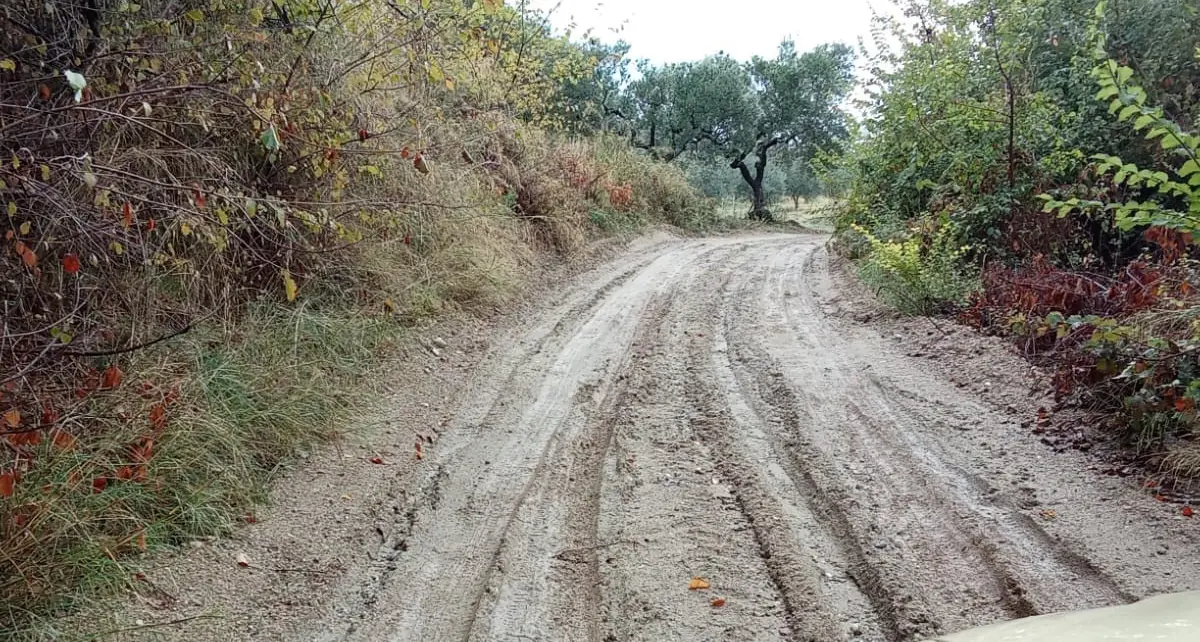 Spezzano Albanese, se una strada diventa un percorso di sopravvivenza