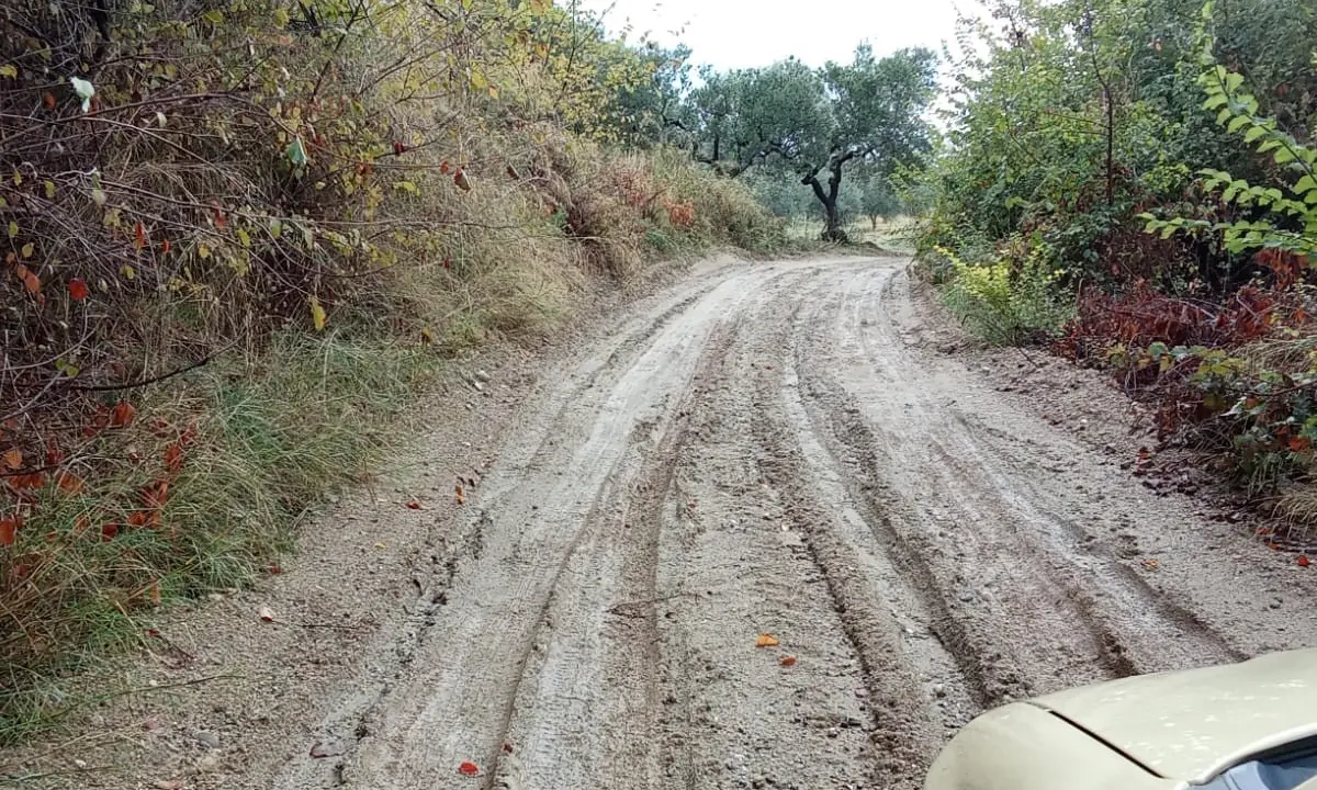 Spezzano Albanese, se una strada diventa un percorso di sopravvivenza