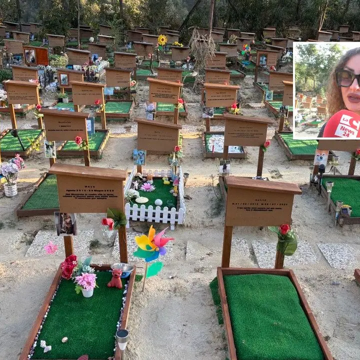 La Dolce Quiete, il cimitero per animali che la Calabria ora può perdere: «Rischiamo di chiudere nell’indifferenza generale»\n
