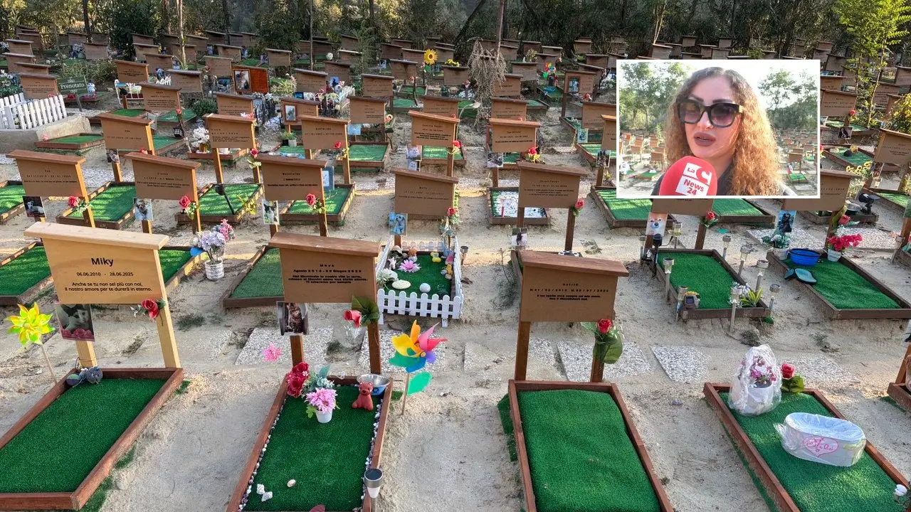 La Dolce Quiete, il cimitero per animali che la Calabria ora può perdere: «Rischiamo di chiudere nell’indifferenza generale»\n