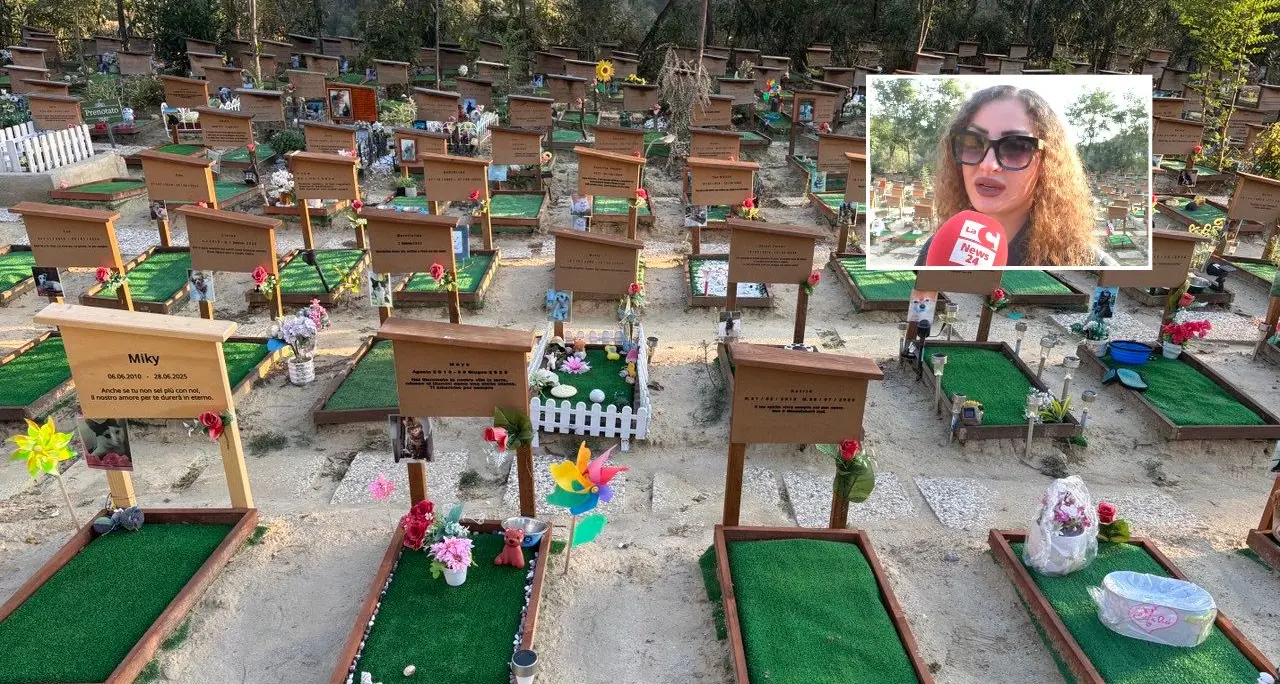 La Dolce Quiete, il cimitero per animali che la Calabria ora può perdere: «Rischiamo di chiudere nell’indifferenza generale»\n