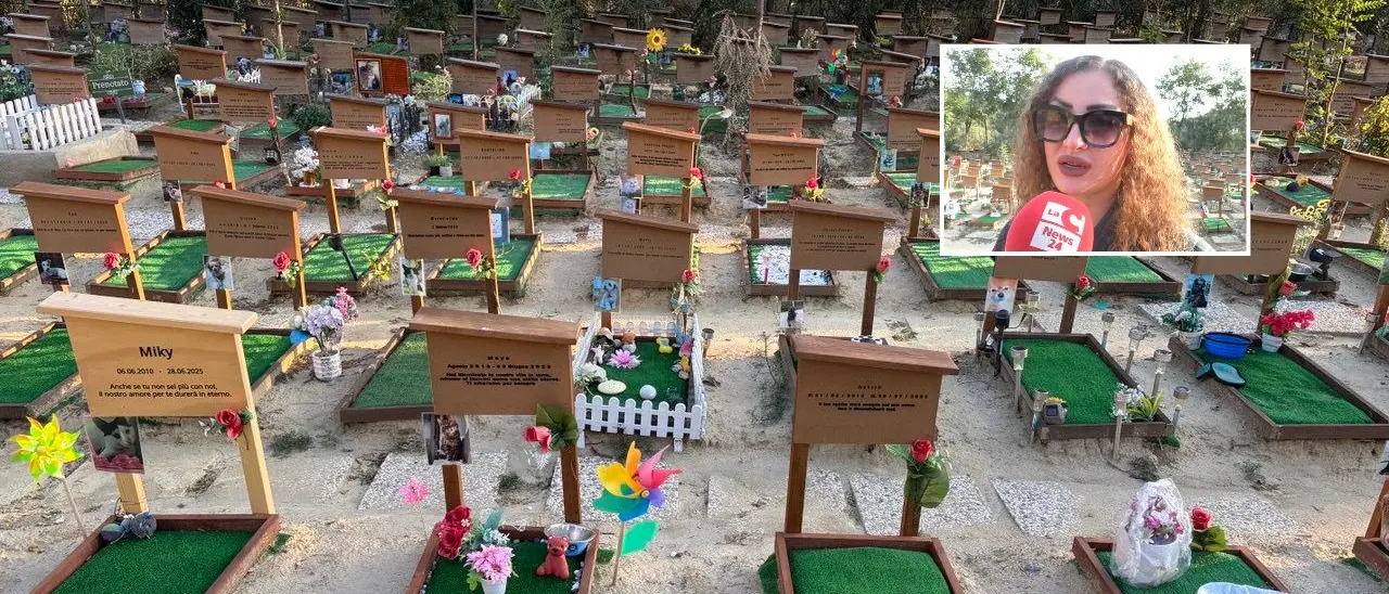 La Dolce Quiete, il cimitero per animali che la Calabria ora può perdere: «Rischiamo di chiudere nell’indifferenza generale»\n