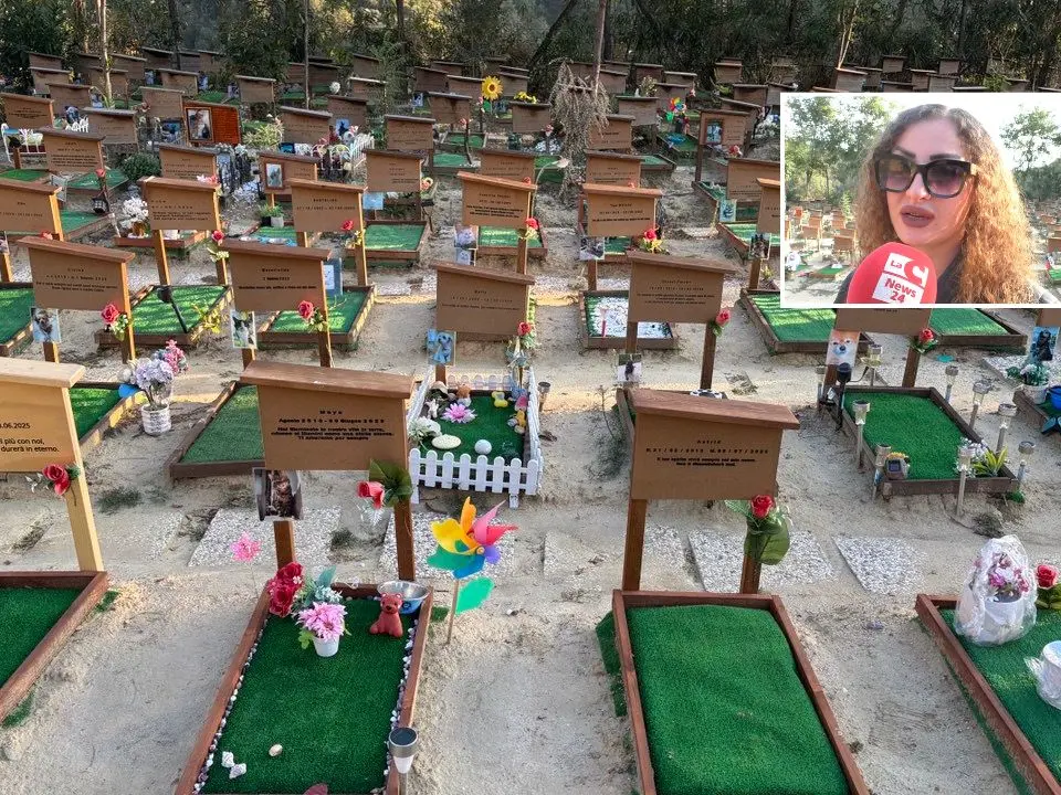 La Dolce Quiete, il cimitero per animali che la Calabria ora può perdere: «Rischiamo di chiudere nell’indifferenza generale»