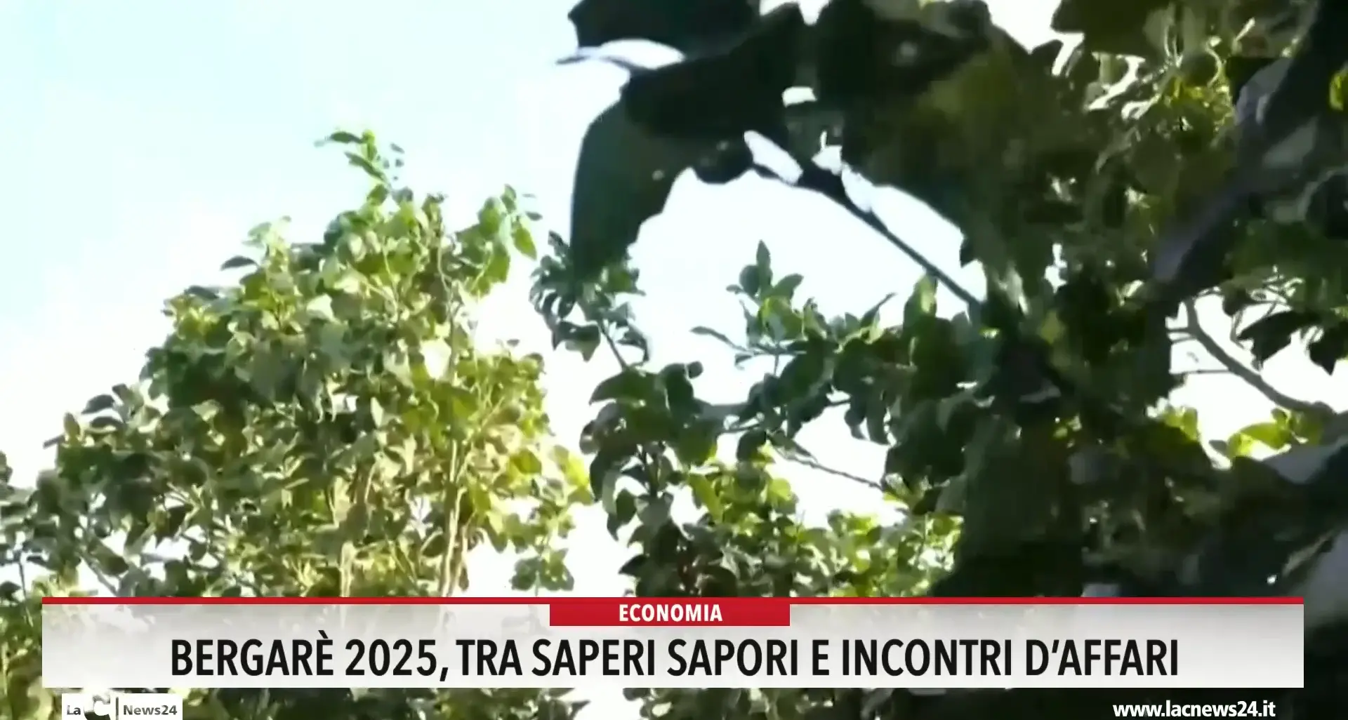 Bergarè 2025, tra saperi sapori e incontri d affari