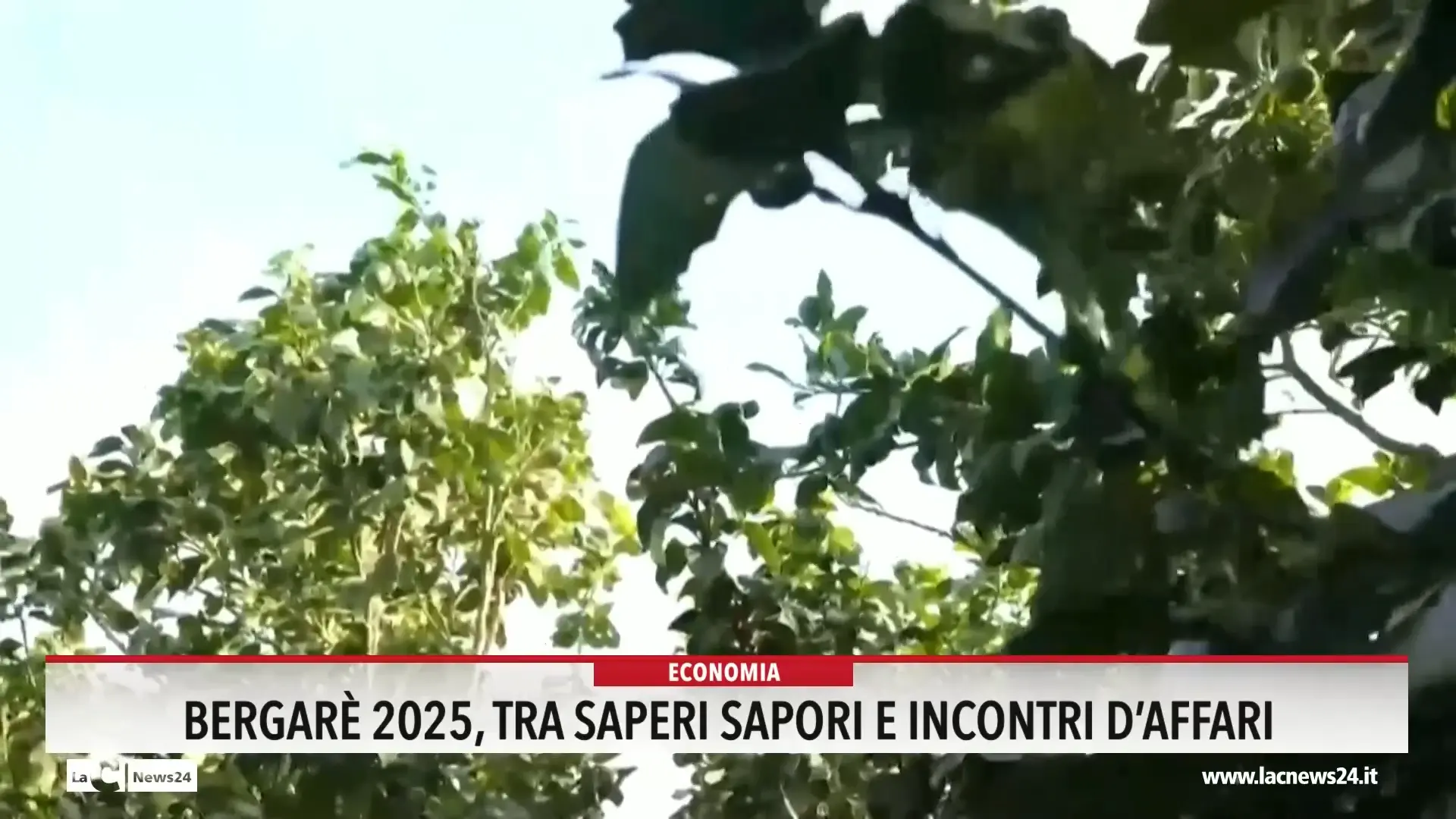 Bergarè 2025, tra saperi sapori e incontri d affari