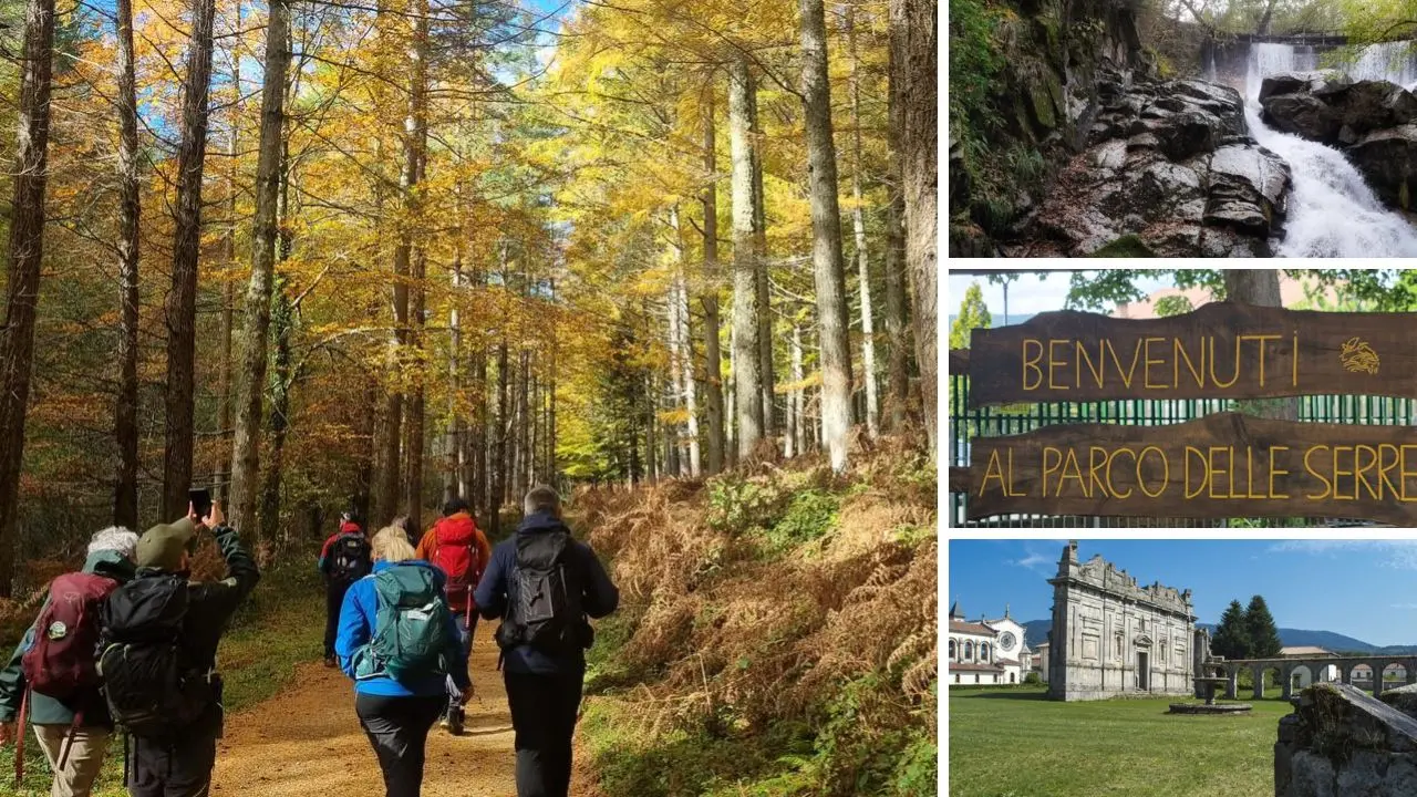A scuola nel Parco delle Serre: 68mila euro per cofinanzare viaggi d’istruzione tra le meraviglie della montagna vibonese