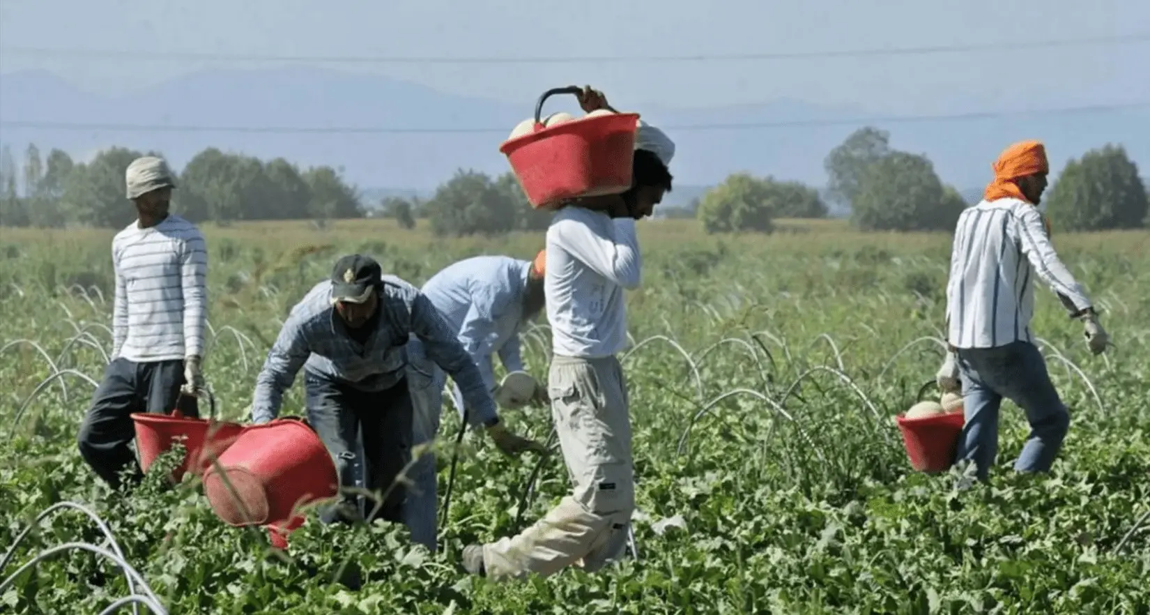 In Calabria 10 milioni di evasione contributiva e 3mila lavoratori in nero