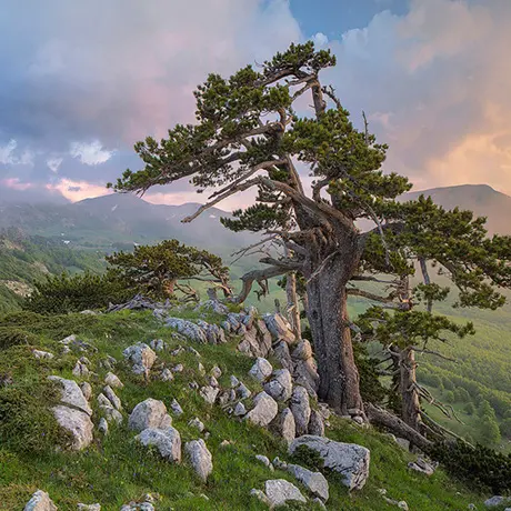Parco nazionale del Pollino, installazione di un cartello promozionale e passeggiata ecologica\n