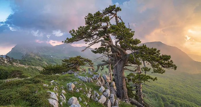 Parco nazionale del Pollino, installazione di un cartello promozionale e passeggiata ecologica\n