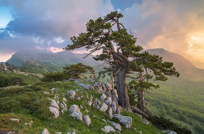 Parco nazionale del Pollino, installazione di un cartello promozionale e passeggiata ecologica\n