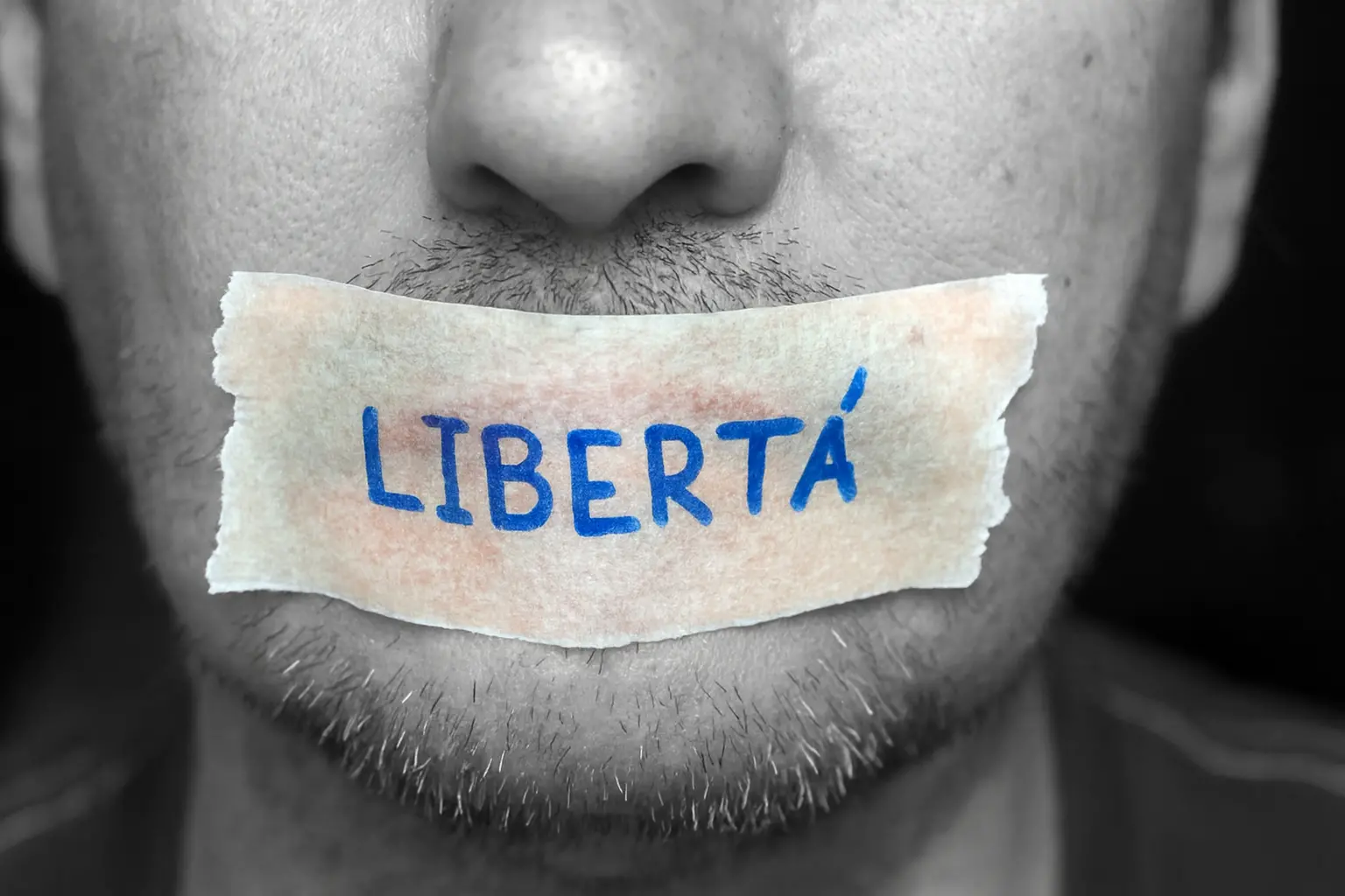 Bombe contro la verità, querele temerarie e minacce:\u00A0l’Italia che ha paura dei giornalisti\n