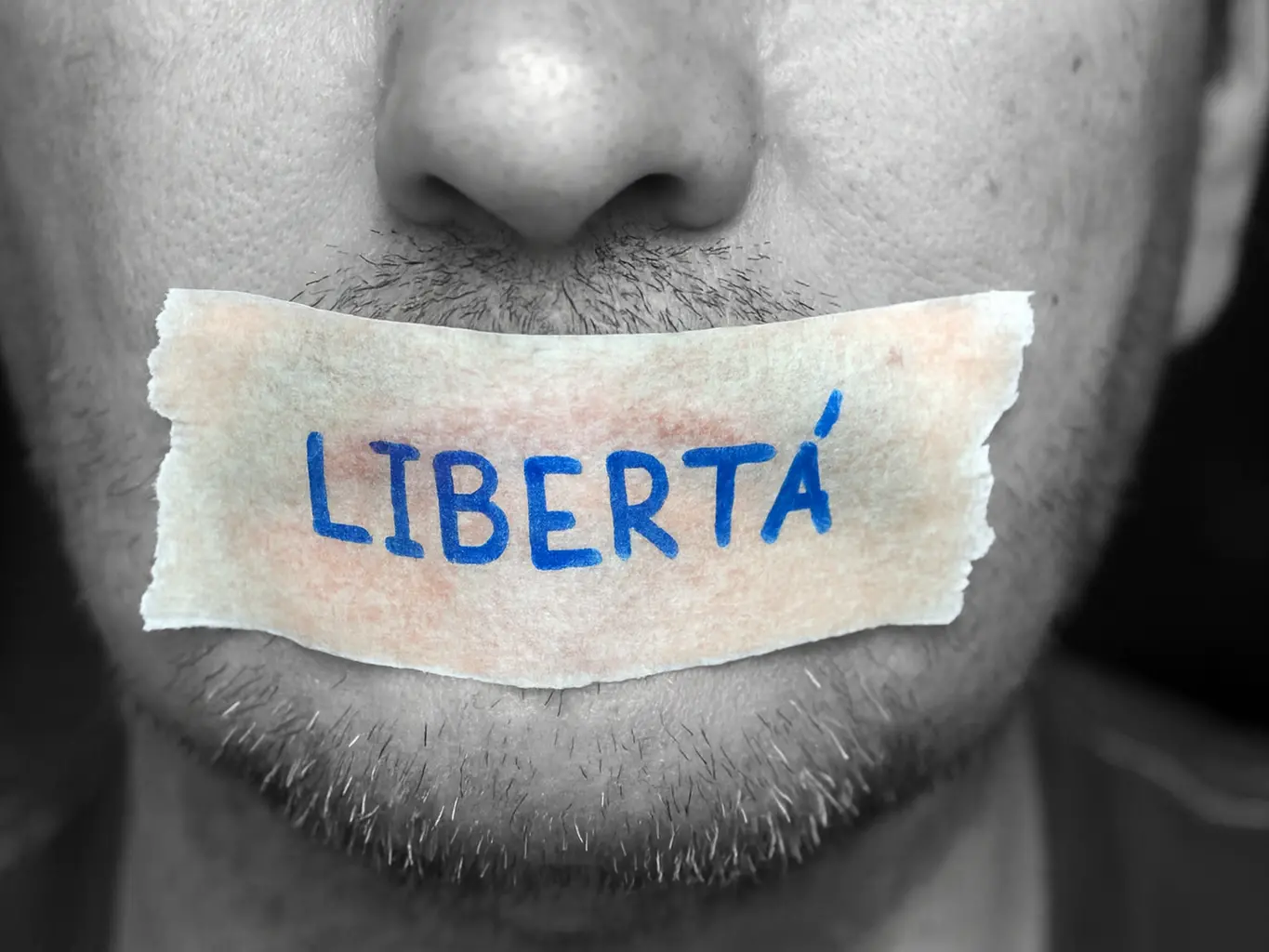 Bombe contro la verità, querele temerarie e minacce: l’Italia che ha paura dei giornalisti